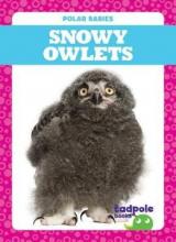 Cover image of Snowy owlets