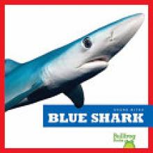 Cover image of Blue shark