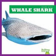 Cover image of Whale shark