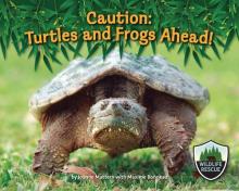 Cover image of Caution: turtles and frogs ahead!