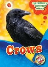 Cover image of Crows