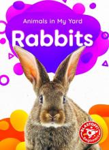 Cover image of Rabbits