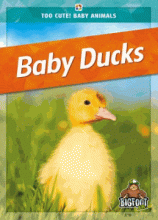 Cover image of Baby ducks