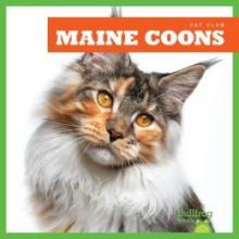Cover image of Maine coons