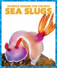 Cover image of Sea slugs