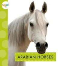 Cover image of Arabian horses