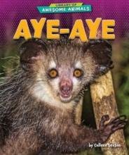 Cover image of Aye-aye