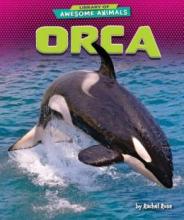 Cover image of Orca