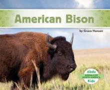 Cover image of American bison