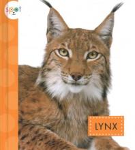 Cover image of Lynx