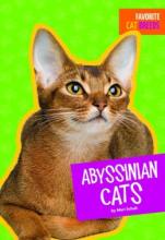 Cover image of Abyssinian cats