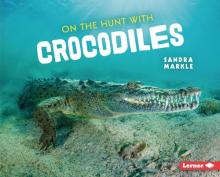 Cover image of On the hunt with crocodiles