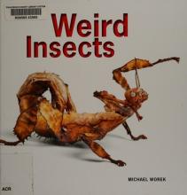 Cover image of Weird insects