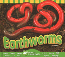 Cover image of Earthworms