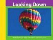 Cover image of Looking Down