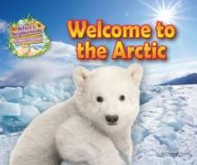 Cover image of Welcome to the arctic