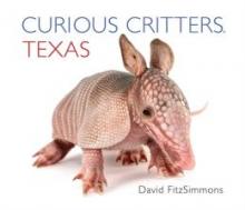 Cover image of Curious critters