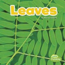 Cover image of Leaves