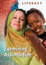 Cover image of Examining assimilation