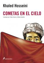 Cover image of Cometas en el cielo