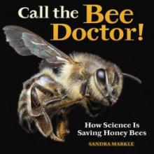 Cover image of Call the bee doctor!