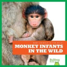 Cover image of Monkey infants in the wild