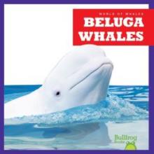 Cover image of Beluga whales