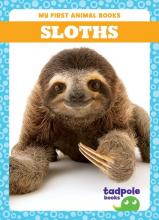 Cover image of Sloths