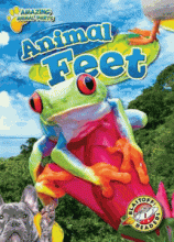 Cover image of Animal feet