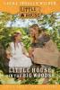 Cover image of Little house in the big woods