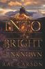 Cover image of Into the bright unknown