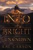 Cover image of Into the bright unknown