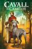 Cover image of Cavall in Camelot: A dog in King Arthur's court