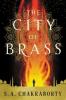 Cover image of The city of brass