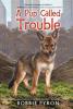 Cover image of A pup called Trouble
