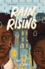 Cover image of Rain rising