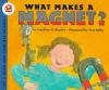 Cover image of What makes a magnet?