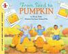 Cover image of From seed to pumpkin