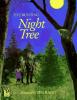 Cover image of Night tree
