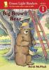 Cover image of Big brown bear
