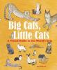 Cover image of Big cats, little cats