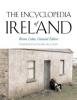 Cover image of The encyclopedia of Ireland