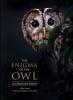 Cover image of The enigma of the owl