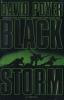 Cover image of Black storm