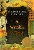 Cover image of A wrinkle in time