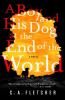 Cover image of A boy and his dog at the end of the world