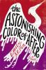 Cover image of The astonishing color of after