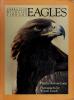 Cover image of Eagles