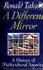 Cover image of A different mirror