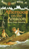 Cover image of Afternoon on the Amazon
